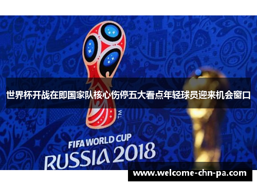 世界杯开战在即国家队核心伤停五大看点年轻球员迎来机会窗口