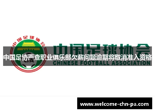 中国足协严查职业俱乐部欠薪问题逾期将取消准入资格 中国足协严查职业俱乐部欠薪问题逾期将取消准入资格